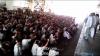 Picture 1.png